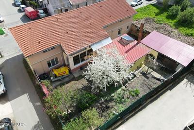 Lunei - Ion Neculce, 2 Apartamente. Mansarda 157 mp. Anexe, Lot 475 mp - 45