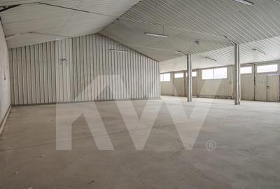 Spațiu industrial, de 272.00 mp, în Turnișor