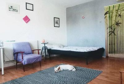 Garsonieră semidecomandată, mobilată în Ștefan cel Mare
