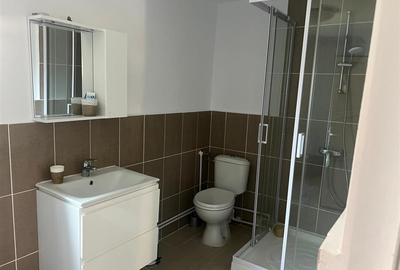 Casa renovata cu teren si anexe in Birtin - 7