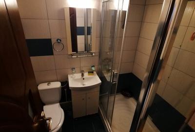 Apartament cu 1 camera decomandat, zona Nicolina - 8