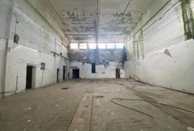 Hale industriale, 30000 mp, teren 65000 mp, zona Podari - 11