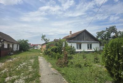 Tormac -casa parter- renovata -800 mp - 9