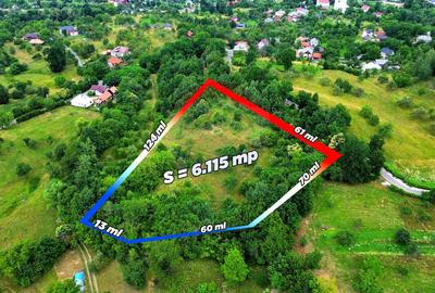 Teren agricol intravilan de 6115 mp, în Dănești
