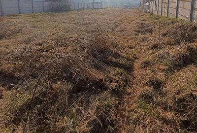 Teren Construcții intravilan de 2600 mp, în Micești