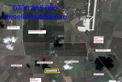 Teren 9HA , investitie, Mihail Kogalniceanu, Constanta - 1
