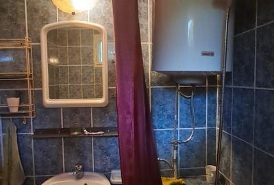 CASA cu anexa si spatiu comercial – de vanzare in BEIUS - 28