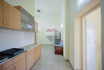 Apartament 2 cam., ultracentral, acces auto, Parc 1 Decembrie, Vânzare - 5