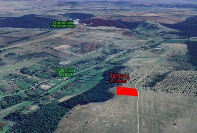 Teren agricol extravilan de 10000 mp, în Sălciua Nouă