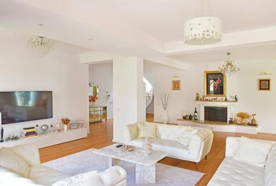 Vila individuala de inchiriat 5 camere renovata complet, zona Iancu Nicolae - Jo - 19