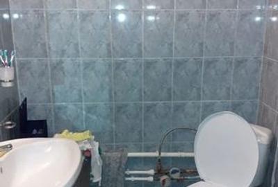 Apartament 3 Camere,Iancului,Metrou,Elev Stefanescu,bl.reabilitat,et.4/10,2 bai - 11