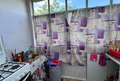 Apartament cu 2 camere de vânzare, str. Petre Ispirescu-AP1517 - 11