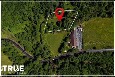 Teren intravilan 2.800 m² în Câmpu Cetății – liniște și natură - 3