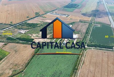 Proprietate Industrială & Logistică – Jilava (Nod A0 / Centură) - 10