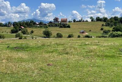 INVESTIȚIE | Teren 5000 mp PUZ APROBAT intravilan - zona Sohodol -Bran - 8