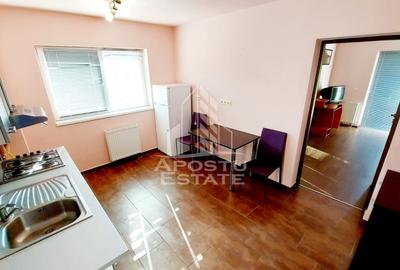 Apartament o camera de închiriat, centrala,parcare,Olimpia, Timișoara - 3