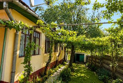Casă individuală cu 3 camere în Pianu de Sus