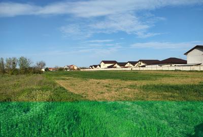 Teren Construcții intravilan de 1588 mp, în Cernica