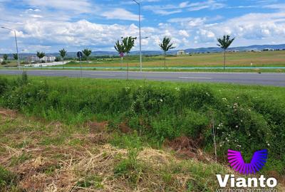 Oportunitate Teren Intravilan 9000mp-Turnisor - 1