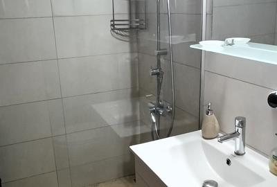 Apartament 2 camere zona Mărășești – Europa - 9