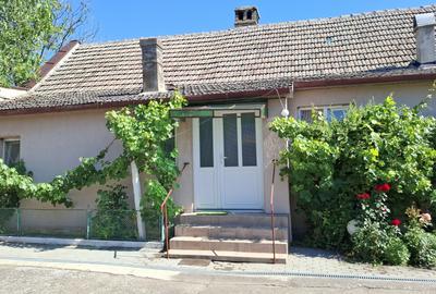 Casa 4 camere in Seitin Judetul Arad - 2