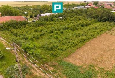 Teren 2400 mp - Tisa Nouă, comuna Fântânele - 2