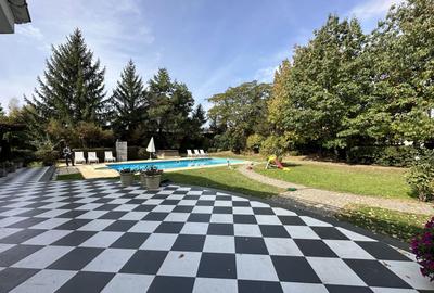 Vila individuala, teren 3000 mp, Iancu Nicolae - 10