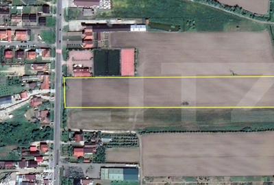 Teren agricol extravilan de 17600 mp, în Lucian Blaga