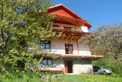 Casă individuală cu 7 camere în Valea Doftanei