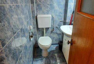 SPATIOS! Duplex Ap 3 camere Calarasilor, 87 mp, renovat - 12