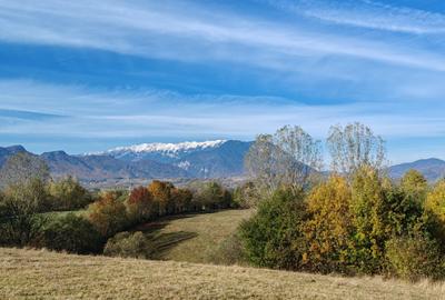5.800 mp extravilan, Sohodol-Bran, retreat, cabane, off-grid ecoturism, panorama - 6