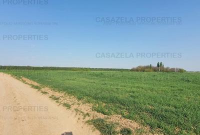 Terenuri intravilane in Racari, Colacu 10.000 + mp , Dambovita - 6