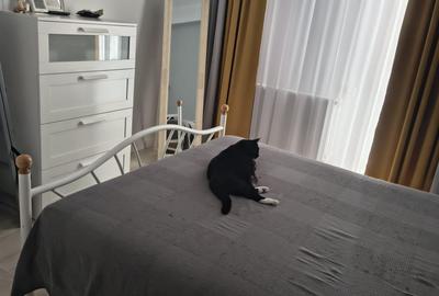De inchiriat apartament 2 camere, Mamaia nord - 5