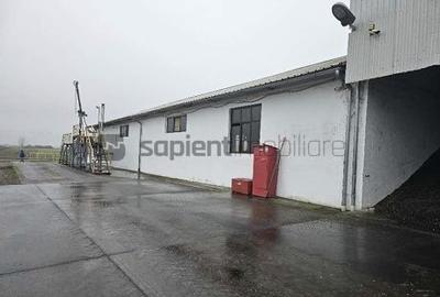 Proprietate industrială  Platformă logistică de vânzare în Tinca - 9