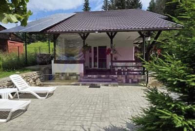 Vila din padure in Valea Doftanei - 37