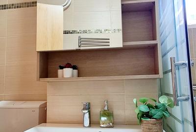 Tineretului -Radulescu Motru 2 camere mobilat /utilat - 10