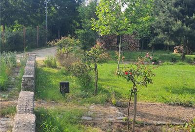 Teren intravilan - ultimul lot de 698mp in Sacel - zona lacuri - 1
