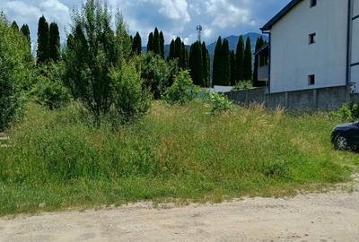 Teren pentru casa - 800 mp - Bunloc - 9