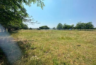 Teren intravilan 5.000 mp, front 50 m, zona Ancora BHS Trans - Constanta - 5