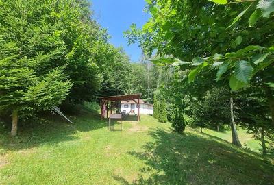 Refugiu idilic cu oglinda de apa, panorama montana, Glajerie/Rasnov, ideal mini - 3