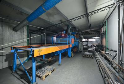 Hală în parc industrial Borș 1, teren 2.903 mp, de vânzare - 47