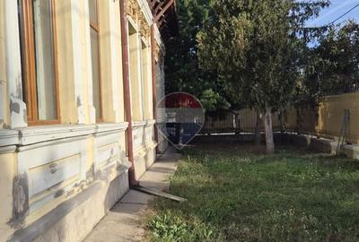 Monument istoric cu identitate aparte și potențial investițional - 7