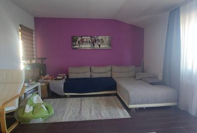 Apartamnet 3 camere  cu curte - 17