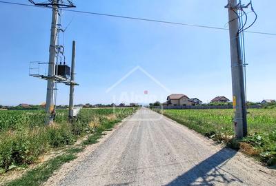 Teren Intravilan Cu Autorizatie Construire I Investitie Harman - 13