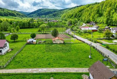 Teren de 2.300 mp în satul Buzăiel, Vama Buzăului - 9
