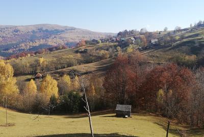 Teren de vânzare în Răchițele – 10.479 mp ! Priveliste panoramica ! - 1