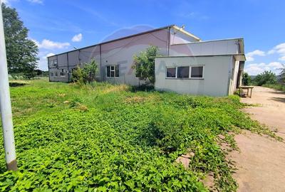 Spațiu industrial, de 1,700 mp, în Brănești