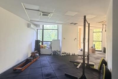 Spațiu comercial / birouri în zona Izvor-Libertatii-Cișmigiu - 15