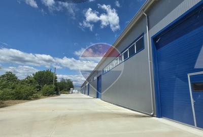 Hala industriala noua de inchiriat 9700 MP 600 KVA pret tva inclus - 10