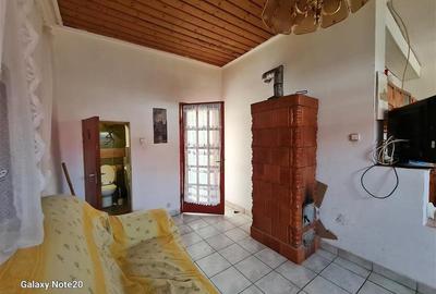Casă individuală cu 4 camere în Horia